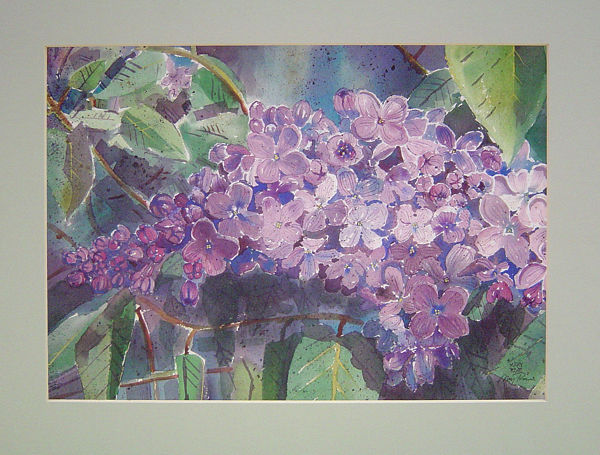 Lilacs by Mary Stewart Rose
