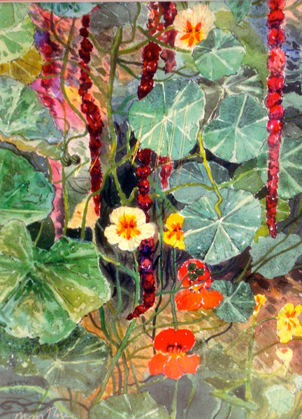 untitled by Mary Stewart Rose