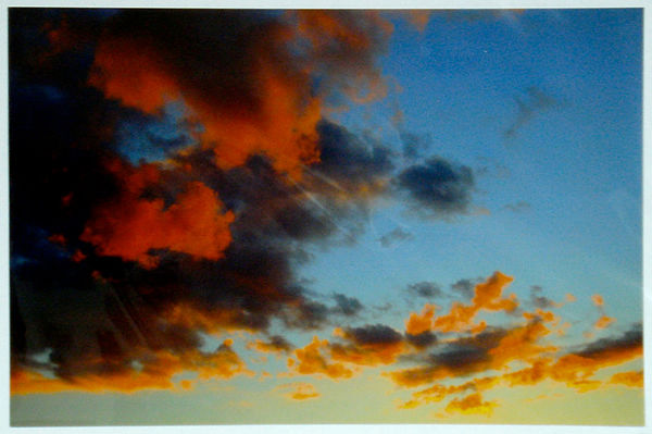 untitled by Mary Stewart Rose
